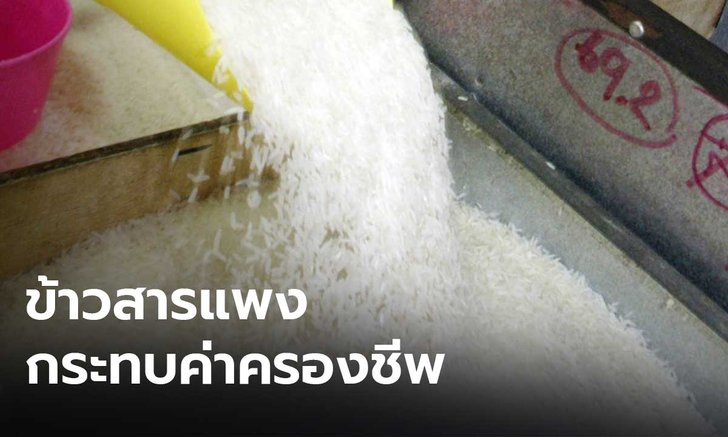 “ไทยสร้างไทย” จี้รัฐบาล แก้ปัญหาข้าวแพงโดยด่วน