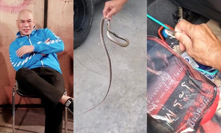 "โหน่ง ชะชะช่า" เจองูกำลังลอกคราบในรถ คอหวยแห่ขอเลขทะเบียนรัวๆ
