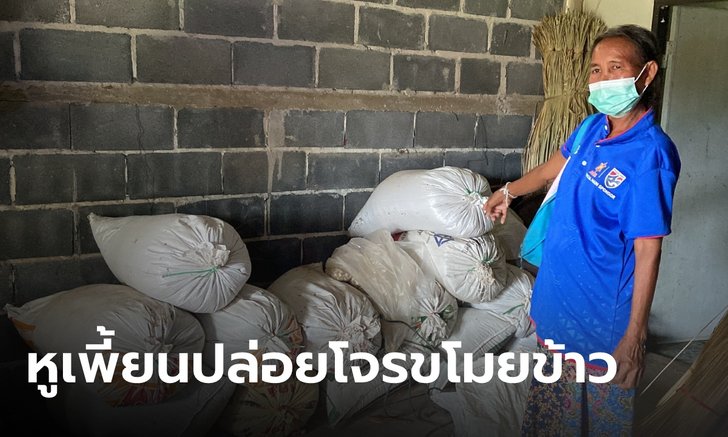 ยายหูเพี้ยน หลานตะโกนบอกโจรมาขนข้าว ได้ยินเป็นไก่กินข้าว โดนไป 7 กระสอบ