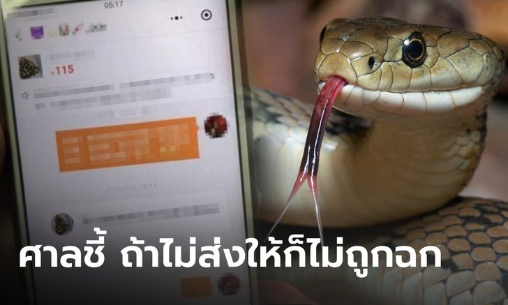 ชาวเน็ตร้องห้ะ?! สาวเลี้ยง "งูพิษ" ถูกงูฉกตาย ศาลสั่งร้านขาย-ขนส่ง ชดเชย 1.7 ล้าน