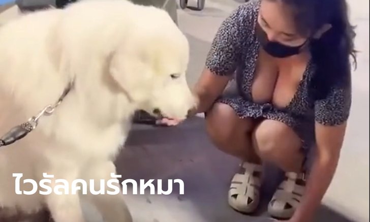 ไวรัลสนั่นโลก! สาวป้อนขนมน้องหมา คลิปแค่ 33 วิ แต่บางคนดูหลายชั่วโมงยังไม่จบ