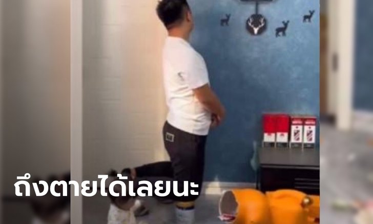 พ่อล้มทั้งยืน ลูกน้อยชนตุ๊กตาสุดแพงล้มแตกกระจาย แต่ที่หนักสุดไม่ใช่เรื่องตุ๊กตา