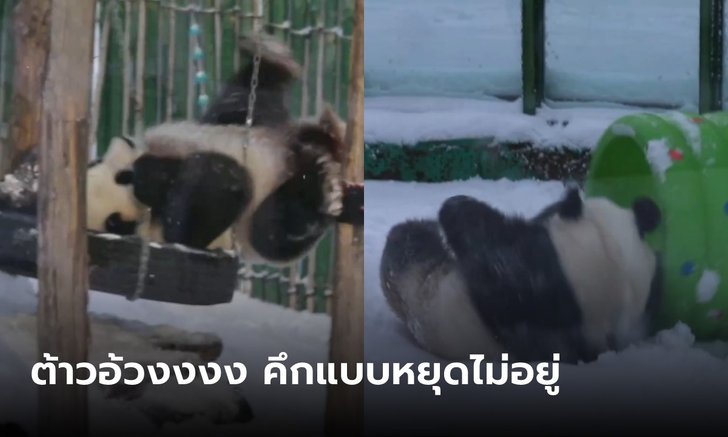 ตัวเดียวก็สนุกได้ “