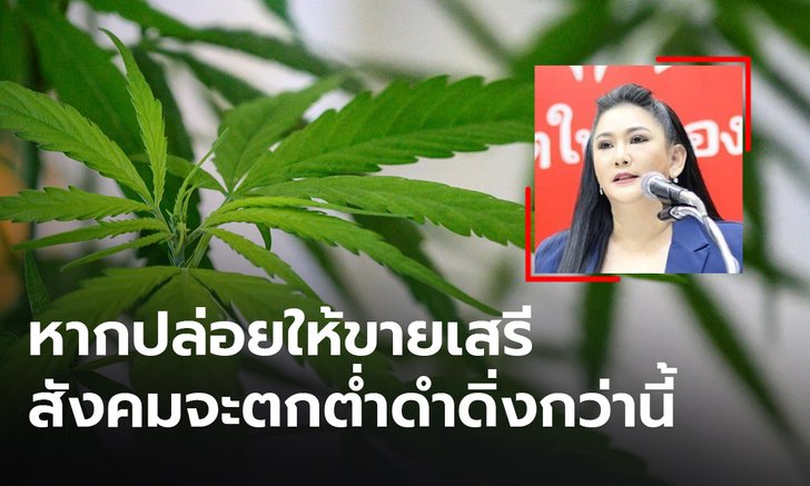 “ตรีชฎา” ติง รัฐปล่อยกัญชาคาเฟ่ ผุดกลางเมือง วอนเร่งทบทวน