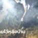เปิดปากหลานชายฝังยายวัย 93 หลังบ้าน บอกศพเหม็น ทาแป้งแล้วไม่หายเลยขุดหลุมฝัง