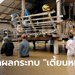 เร่งช่วยเหลือผู้ประสบอุทกภัย 12 จังหวัด เฝ้าระวังน้ำป่าไหลหลาก-ท่วมฉับพลัน-ดินถล่ม