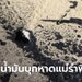 คราบน้ำมันสีดำลอยเข้าหาดแม่รำพึง ผู้ว่าฯ ระยอง ประกาศเป็นพื้นที่ภัยพิบัติ