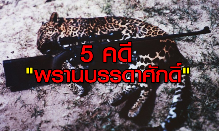 5 คดีพรานบรรดาศักดิ์ ล่าสัตว์ป่าสนองบารมี