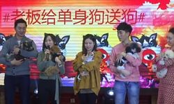 รางวัลคนโสด บริษัทจีนมอบน้องหมาให้พนง.ที่ยังไร้คู่