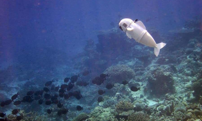 ล้ำไปอีก MIT เปิดตัวหุ่นยนต์ปลา ‘SoFi’ ว่ายน้ำได้เหมือนปลาจริง