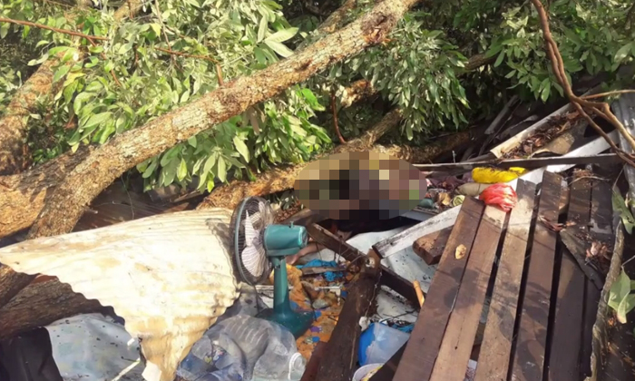 พายุลูกเห็บถล่มหนัก สลดชายวัย 51 ถูกต้นไม้ล้มทับเสียชีวิต