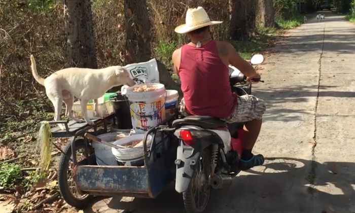 เขาคือ "เทวดาหมาจร" พ่อค้าก๋วยเตี๋ยวใจหล่อ ทำข้าวเลี้ยงหมามา 7 ปีเต็ม