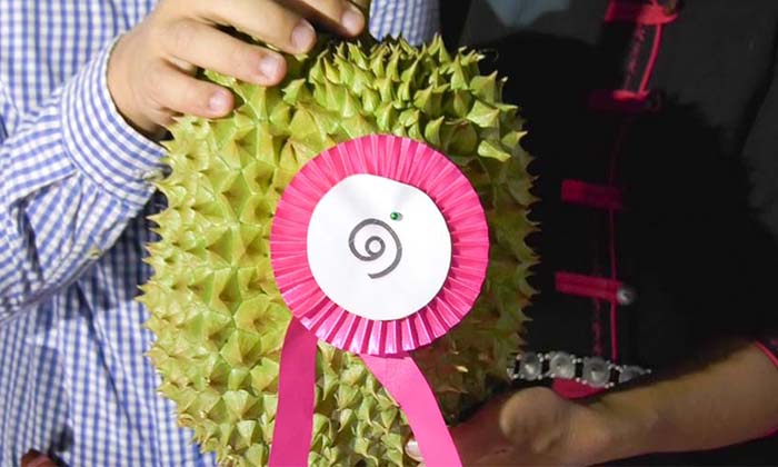 ทำลายสถิติแพงที่สุด ทุเรียนภูเขาไฟเมืองศรีสะเกษ ราคา 150,000 บาท