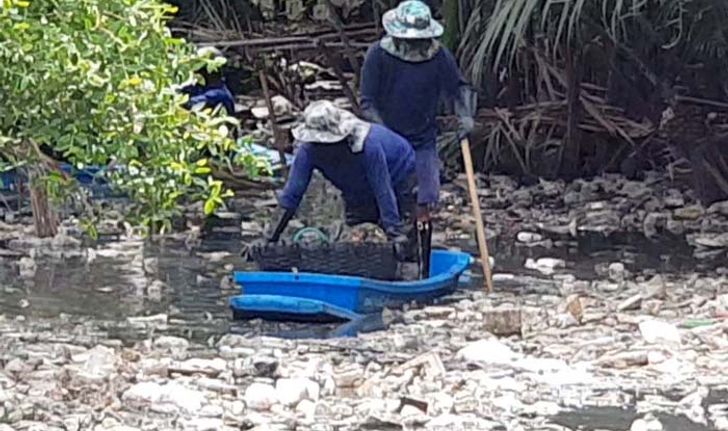 เกลื่อนคลอง! กองขยะล้นเมืองปลาทู จนท.เร่งเก็บกำจัด พบ 3 เดือนผ่านปริมาณขยะมีแต่เพิ่ม