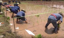 สุดฮา แข่งขันดำนาวิบาก สร้างสีสัน (มีคลิป)