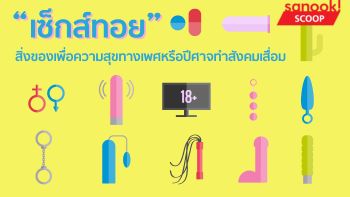 “เซ็กส์ทอย” สิ่งของเพื่อความสุขทางเพศหรือปีศาจทำสังคมเสื่อม