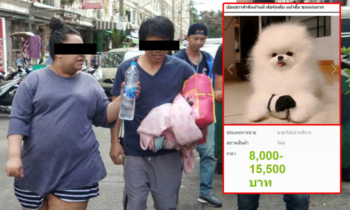 จับ 2 หนุ่มสาว โพสต์หลอกขายหมา-แมว เสียหายนับล้าน ถูกจับแล้วหลายครั้งแต่ไม่เข็ด