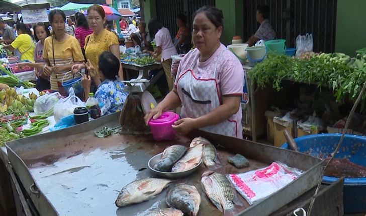 เล่นทีเผลอ! สองผัวเมียก่อเหตุชิงทรัพย์แม่ค้าปลากลางตลาดสด