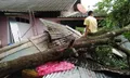 ญาตินักข่าวหวิดสังเวยให้ฤทธิ์ “เซินติญ”  ฝนถล่ม-ลมกระโชกทำต้นไม้ล้มทับบ้านเฉียดตาย