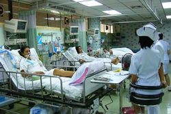 สงขลาตื่น ชิคุนกุนยา แพร่หนัก 11อำเภอป่วยกว่า7พันราย
