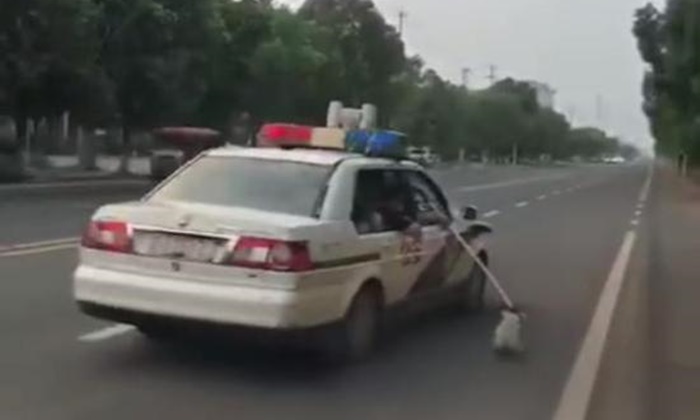 ตำรวจจีนขอโทษ จัดการไม่มืออาชีพ หลังมีคลิปขับรถลากสุนัขจรจัดไปตามถนน