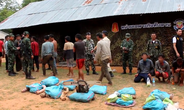 ปิดล้อมพื้นที่ ล่า "มอดไม้เขมร" รุกอุทยานตัด "พะยูง" ล่าสุดรวบตัวได้แล้ว 16 ราย