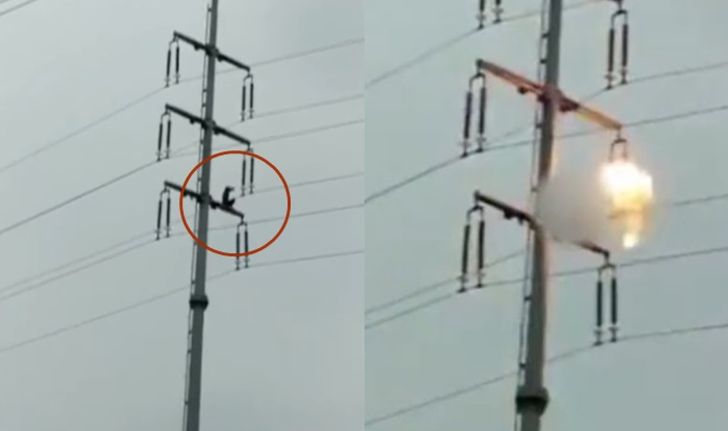 ชายคลั่งปีนเสาไฟฟ้าแรงสูง ถอดเสื้อโบกโดนหม้อแปลงระเบิด ร่วงดับคาที่