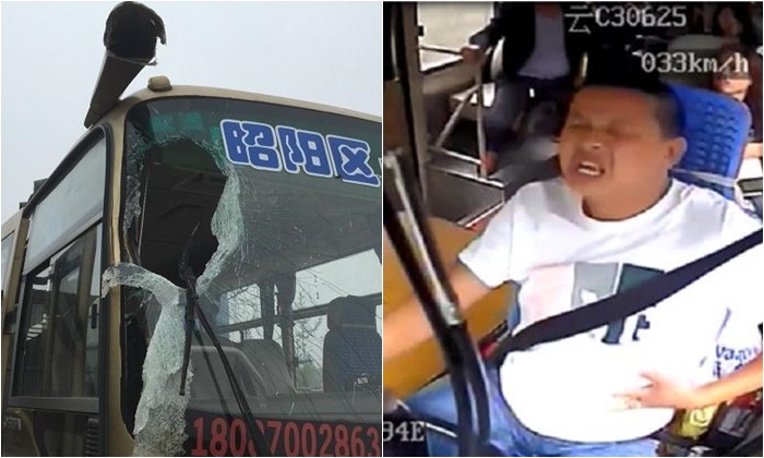 นับถือใจ คนขับรถเมล์จีนประคองสติพาผู้โดยสารรอดยกคัน หลังหินถล่มกระแทกหัว