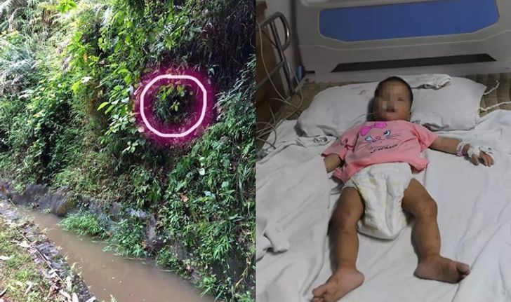 ปาฏิหาริย์! เด็กหญิงจีนวัยขวบเศษ หายตัวไปบนภูเขา 5 วัน แต่ยังรอดชีวิต