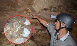 ตะลึง! พบฟอสซิลสัตว์โบราณ อายุกว่า 7 แสนปีในถ้ำที่กระบี่