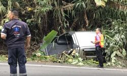 ต้อนรับลมหนาว-กระบะ นทท.พุ่งลงดอยอินทนนท์ โชคดีติดคาต้นไม้