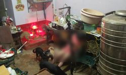 ไฟดูดหญิงวัย 58 ดับคาบ้านเช่า หมานับสิบล้อมศพเจ้าของไม่ให้เข้าใกล้