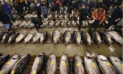 ประมูลปลาครั้งสุดท้าย "ตลาดปลาสึกิจิ" ปิดตำนาน 83 ปีอย่างเป็นทางการ