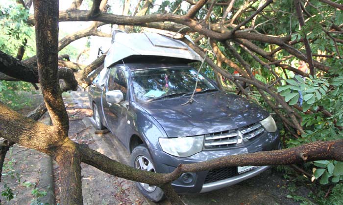 พายุพัดถล่มซัดหลังคาบ้านพังกว่า 20 หลัง-ต้นไม้หักโค่นทับรถยนต์เสียหายอีก