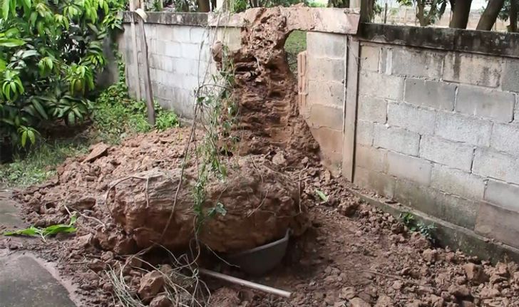 คนงานถูกจอมปลวกสูง 3 เมตรถล่มทับดับ สัปเหร่อยอมรับยังทำพิธีไม่ครบ