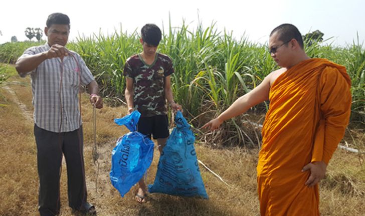 สะเทือนใจ! พิษ "ขึ้นทะเบียนสัตว์เลี้ยง" พบสุนัขยัดกระสอบทิ้งหน้าวัดตายเกลื่อน