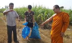 สะเทือนใจ! พิษ "ขึ้นทะเบียนสัตว์เลี้ยง" พบสุนัขยัดกระสอบทิ้งหน้าวัดตายเกลื่อน