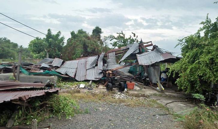 สุพรรณบุรีพายุถล่มหนัก "มะขามยักษ์" อายุนับ 100 ปี โค่นทับบ้าน เจ้าของหวิดดับ