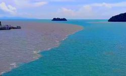 นักท่องเที่ยวฮือฮา ปรากฎการณ์น้ำทะเล 2 สี แหลมสิงห์ จันทบุรี
