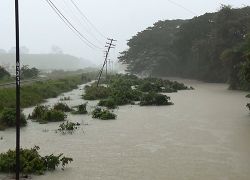 เตือนฉ7ภาคใต้มีฝนตกหนักถึงหนักมาก