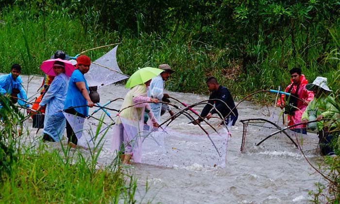 หนึ่งปีมีครั้งเดียว-ชาวบ้านพัทลุงอาศัยช่วงฝนตกหนัก ร่วมยกยอหา "ปลาภูเขา"