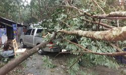 ระยองยังอ่วม-พายุถล่มต้นไม้ล้มทับรถ-บ้านเรือนพังยับนับสิบครัวเรือน