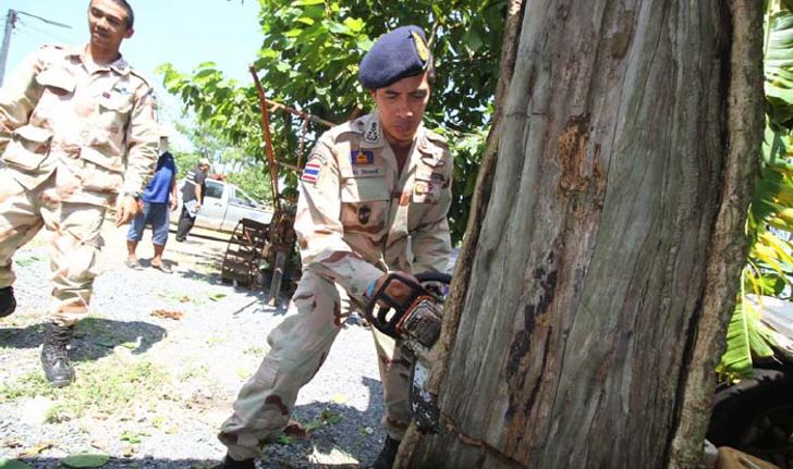 นอภ.คลองหลวง นำทีมวันที่สองลุยตัด “ต้นพืชกระท่อม” อีก 200 ต้น