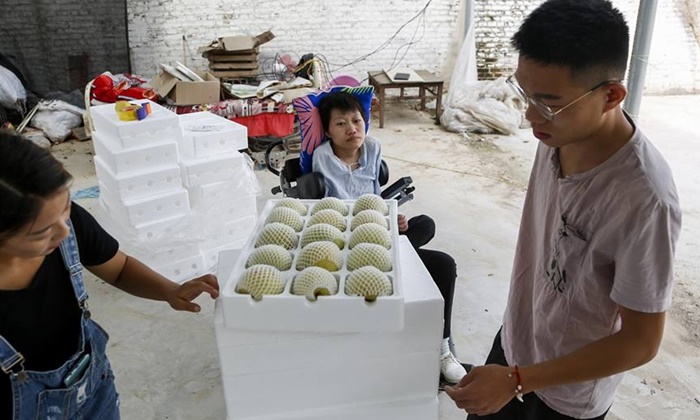 สาวจีนป่วยอัมพาต ผู้ใช้ "ปาก" ขายผลไม้ออนไลน์ สร้างรายได้นับแสน