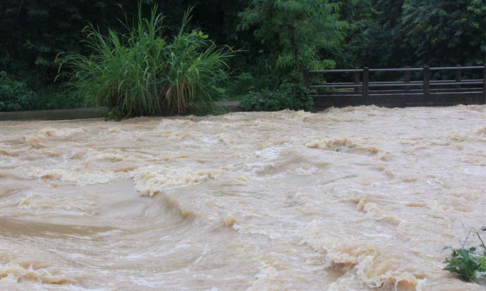 "พัทลุง" ฝนตกหนัก น้ำสีแดงขุ่นหลากท่วมพื้นที่ลุ่มทางการเกษตร