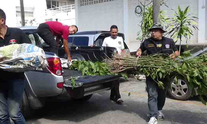 ทหาร-ตำรวจน้ำบุก “เกาะปูยู” ยึดพืชกระท่อมกว่า 100 ต้น-พบปลูกดาษดื่นล้อมรั้วบ้าน