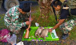 จนท.อุทยานเขานันรวบพรานป่าลอบล่าสัตว์ ยึดซาก "เม่นหางพวง" สัตว์ป่าหายาก