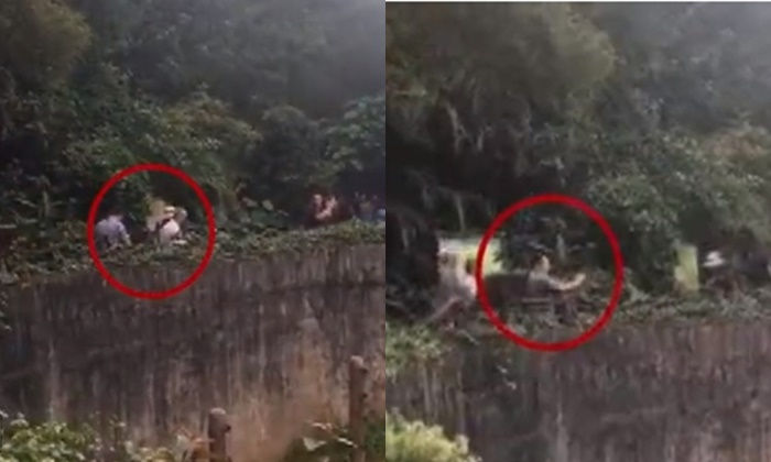 ด่ายับ นักท่องเที่ยวจีนเยือนสวนสัตว์ ยิงหนังสติ๊กใส่สัตว์ เจ็บ 2 ตัว
