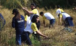 ผลผลิตธารน้ำใจ ทุ่งนารับน้ำถ้ำหลวง ปฏิบัติการช่วยชีวิต 13 หมูป่า