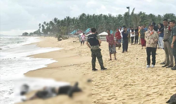 พบแล้วลูกเรือประมงเหยื่อ "พายุปาบึก" ทะเลกลืนหาย 2 วัน ศพเกยหาดปัตตานี